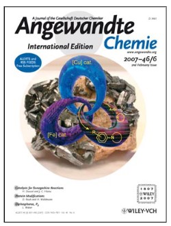 Angew_2007 Cover